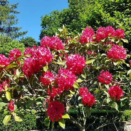 홈스테이 Quinta Da Granja *